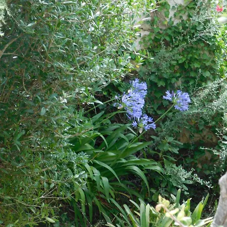 Apart.can Pons,con Piscina, A 50 De La Playa 公寓 *