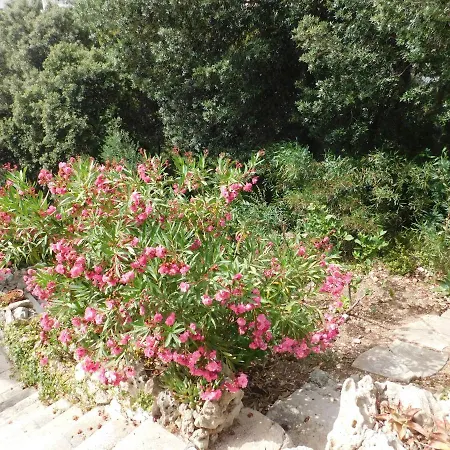 Apart.can Pons,con Piscina, A 50 De La Playa *