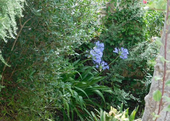 Apart.can Pons,con Piscina, A 50 De La Playa Appartement *