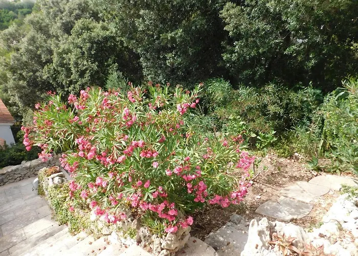 Apart.can Pons,con Piscina, A 50 De La Playa *